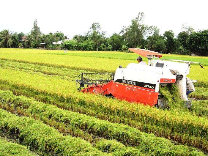 Kinh doanh xuất khẩu gạo: nên bỏ các điều kiện bất hợp lý