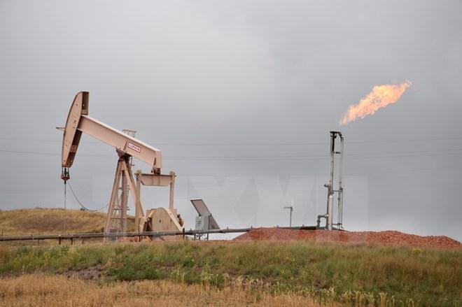 Iraq khó tham gia thỏa thuận cắt giảm dầu của OPEC