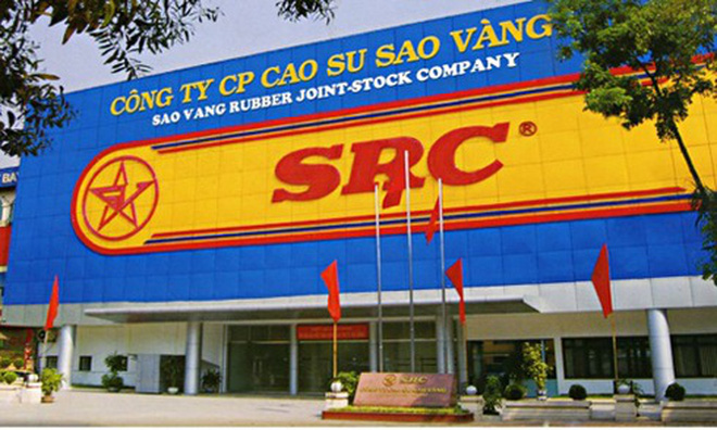 SRC: Sau kiểm toán lãi giảm 2 tỷ, kiểm toán lưu ý về việc hợp tác với Tập đoàn Hoành Sơn