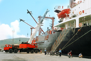 Thanh tra toàn diện việc cổ phần hóa cảng Quy Nhơn