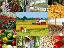 Tạo thuận lợi nhất để thu hút doanh nghiệp đầu tư vào nông nghiệp