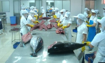 Trong 3 tháng tới, xuất khẩu cá ngừ sẽ tiếp tục tăng 20%