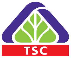 TSC lỗ ròng hơn 7 tỷ đồng trong quý 1/2017
