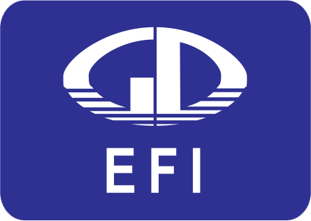 Vi phạm công bố thông tin, EFI bị phạt 100 triệu đồng