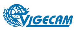1 tổ chức và 21 cá nhân đã gom hơn 6.35 triệu cp  Vigecam với giá bình quân 10,206 đồng/cp