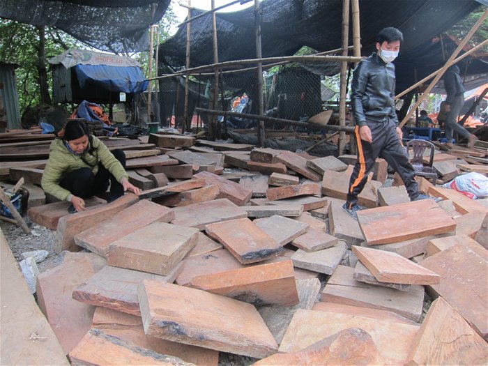 EU muốn gỗ tiêu thụ tại Việt Nam cũng phải hợp pháp