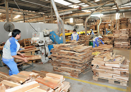Xuất khẩu gỗ vào châu Âu nhiều triển vọng khả quan