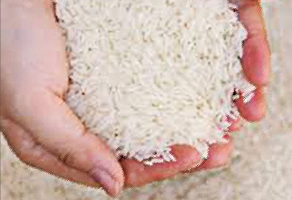 Giá gạo xuất khẩu khó đột biến