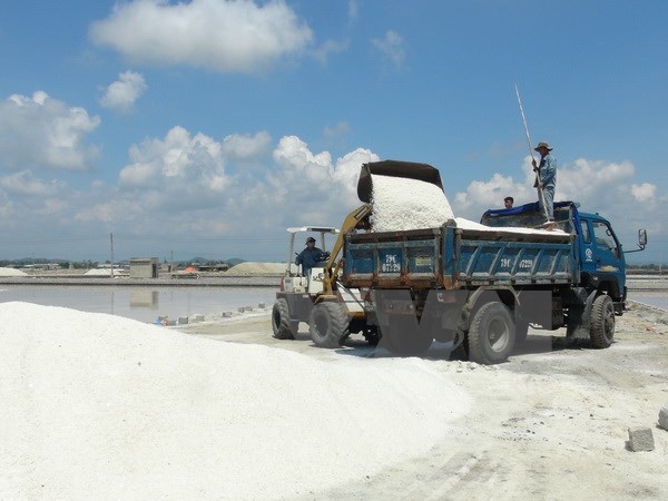 Việt Nam sẽ dự thầu bán 250.000 tấn gạo cho Philippines