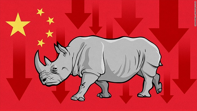 “Tê giác xám” là gì mà khiến nhà điều hành Trung Quốc đứng ngồi không yên?
