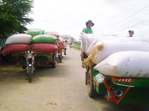Gạo Việt Nam chảy sang Thái Lan bằng đường tiểu ngạch