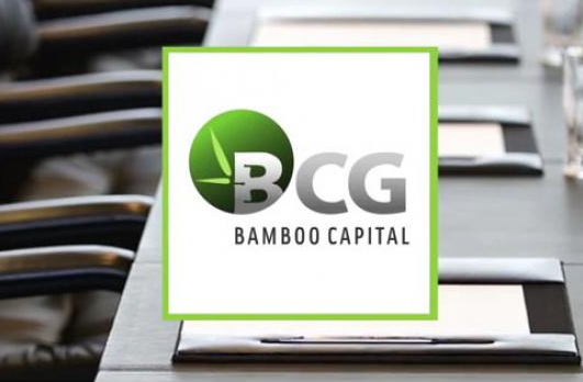 BCG: Dự kiến phát hành trái phiếu chuyển đổi tổng giá trị lên đến 1,500 tỷ đồng và 60 triệu USD