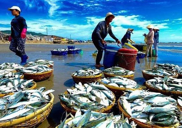 Tháng 1/2019, EC xem xét “thẻ vàng” thủy sản Việt Nam