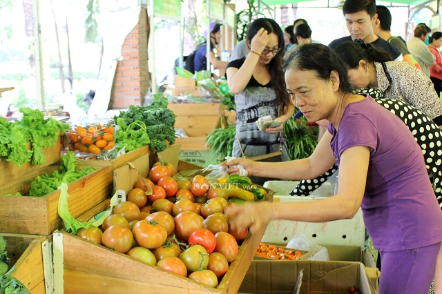 Nông sản Việt “lo sốt vó” trước cuộc chiến thương mại Trung - Mỹ