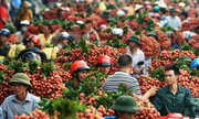 Doanh nghiệp Mỹ muốn đầu tư vào nông nghiệp Việt