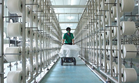 ­­­Việt Thắng bão lãi hơn 52 tỷ đồng trong 6 tháng đầu năm