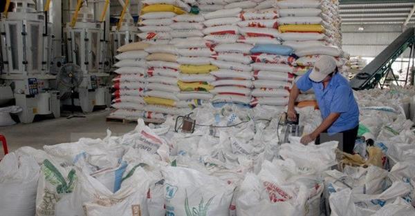 Gạo Việt chiếm 15% lượng gạo xuất khẩu toàn thế giới