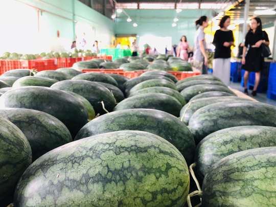 Đại gia bán lẻ Thái Lan mở trạm trung chuyển trái cây ở miền Tây