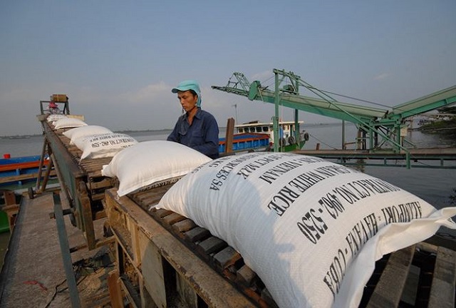 Xuất khẩu gạo: Doanh nghiệp không mừng vì giá cao