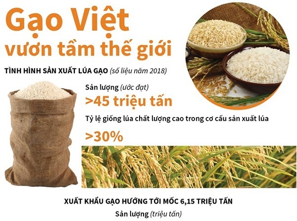 [Infographics] Sắp công bố Logo thương hiệu quốc gia gạo Việt Nam