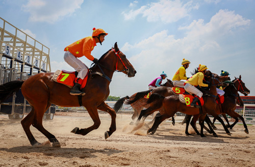 Đà Nẵng xúc tiến đầu tư trường đua ngựa 200 triệu USD
