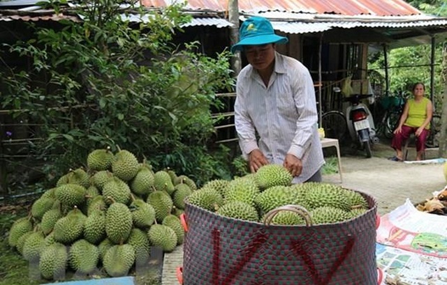 Rau quả Việt Nam còn nhiều dư địa xuất khẩu vào Trung Quốc