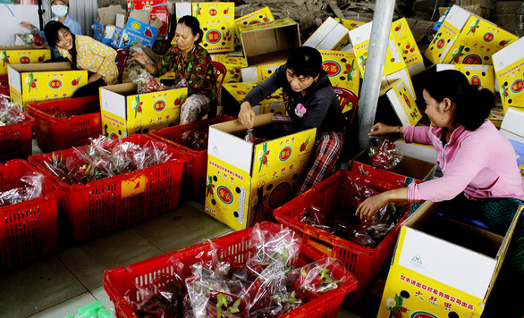 Trung Quốc tăng mua, nhiều loại trái cây tăng giá mạnh