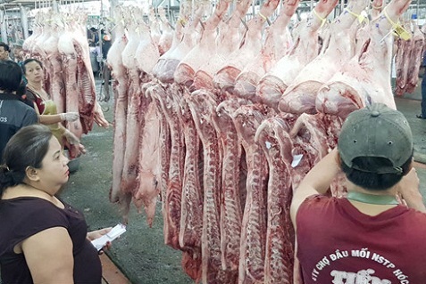 Bảo vệ ngành hàng thịt lợn trước dịch tả lợn Châu Phi