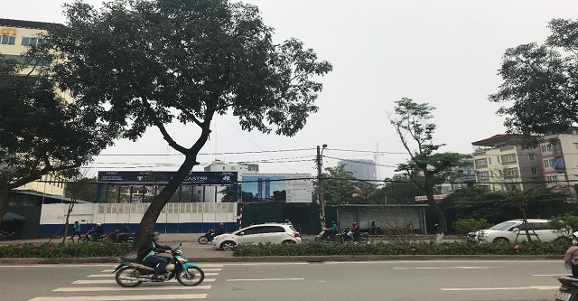 MIG: Cắt lỗ 80 tỷ đồng dự án Tân Phú Long để tái cơ cấu