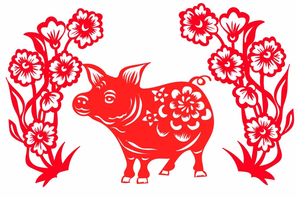 tuổi hợi, canh tý, tử vi , 2020