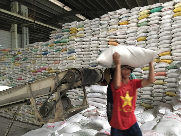 Xuất khẩu gạo giảm mạnh tạo áp lực lên tiêu thụ lúa hè thu - Ảnh 1.