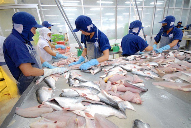 Xuất khẩu cá tra, basa Việt Nam sang EU tăng 31,5%