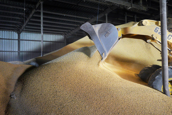 Bất ngờ trước G20, Mỹ công bố Trung Quốc mua 544.000 tấn đậu nành - Ảnh 1.