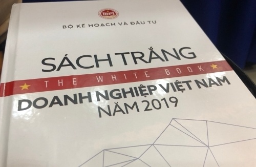 Lần đầu công bố Sách trắng Doanh nghiệp Việt Nam