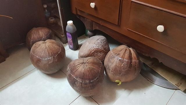 Thổi hồn vào vỏ dừa khô, bán 1,2 triệu đồng/cái - Ảnh 4.