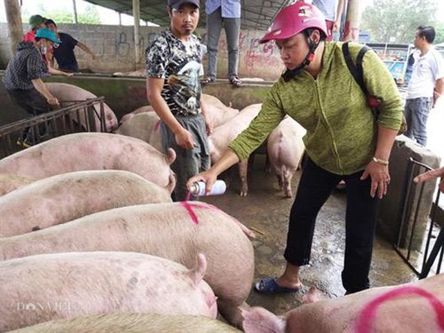 Giá heo hơi hôm nay 10/9: Miền Nam rục rịch tăng, người 'găm' hàng kẻ bán chạy hình ảnh 1