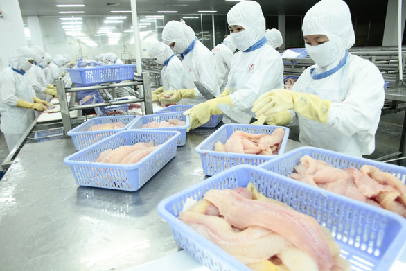 Thực phẩm chế biến Việt Nam dò dẫm vào EU - Ảnh 1.