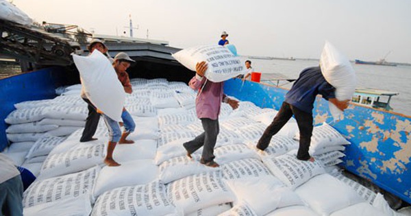 Gạo Việt Nam tìm cơ hội trong khó khăn