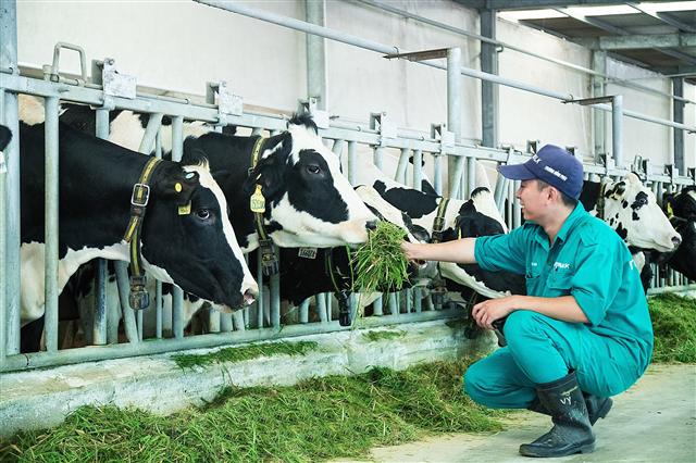 Sữa Việt đến 46 nước, sắp xuất khẩu lô sữa đầu tiên sang Trung Quốc hình ảnh 1