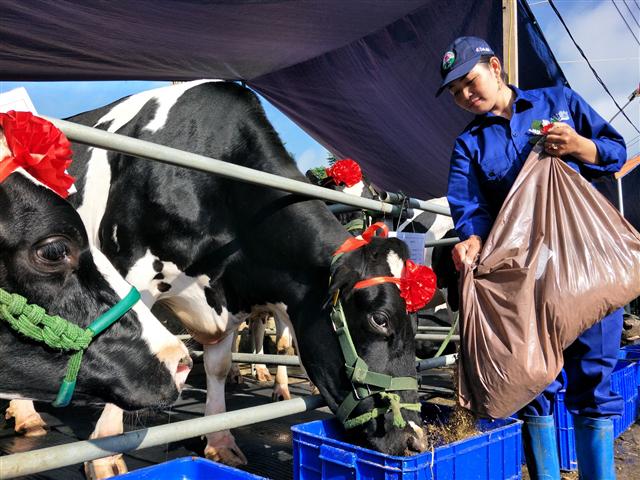 Sữa Việt đến 46 nước, sắp xuất khẩu lô sữa đầu tiên sang Trung Quốc hình ảnh 2