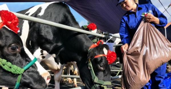 Sữa Việt đến 46 nước, sắp xuất khẩu lô sữa đầu tiên sang Trung Quốc