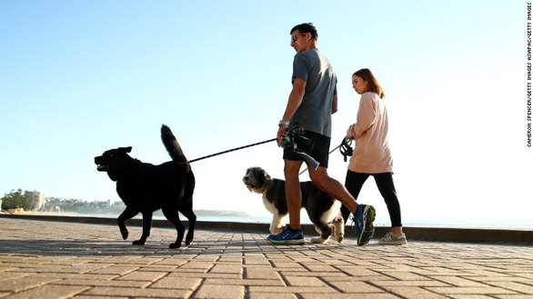 Bị phạt 2.700 USD nếu không dắt chó đi dạo mỗi ngày - Ảnh 1.