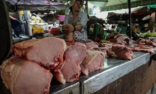 Việt Nam tính phương án nhập khẩu thịt lợn