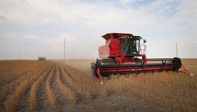“Trung Quốc miễn thuế trừng phạt 10 triệu tấn đậu tương Mỹ”