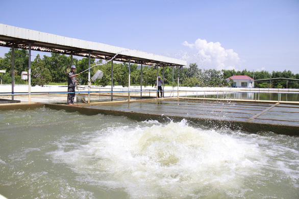 Đà Nẵng yêu cầu báo cáo toàn diện gói thầu nhà máy nước ngàn tỉ - Ảnh 2.