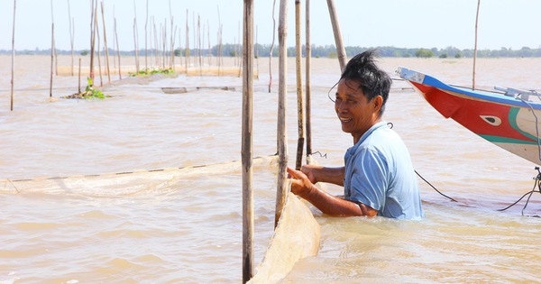 11 thủy điện từ Trung Quốc làm giảm 50% phù sa lưu vực sông Mekong