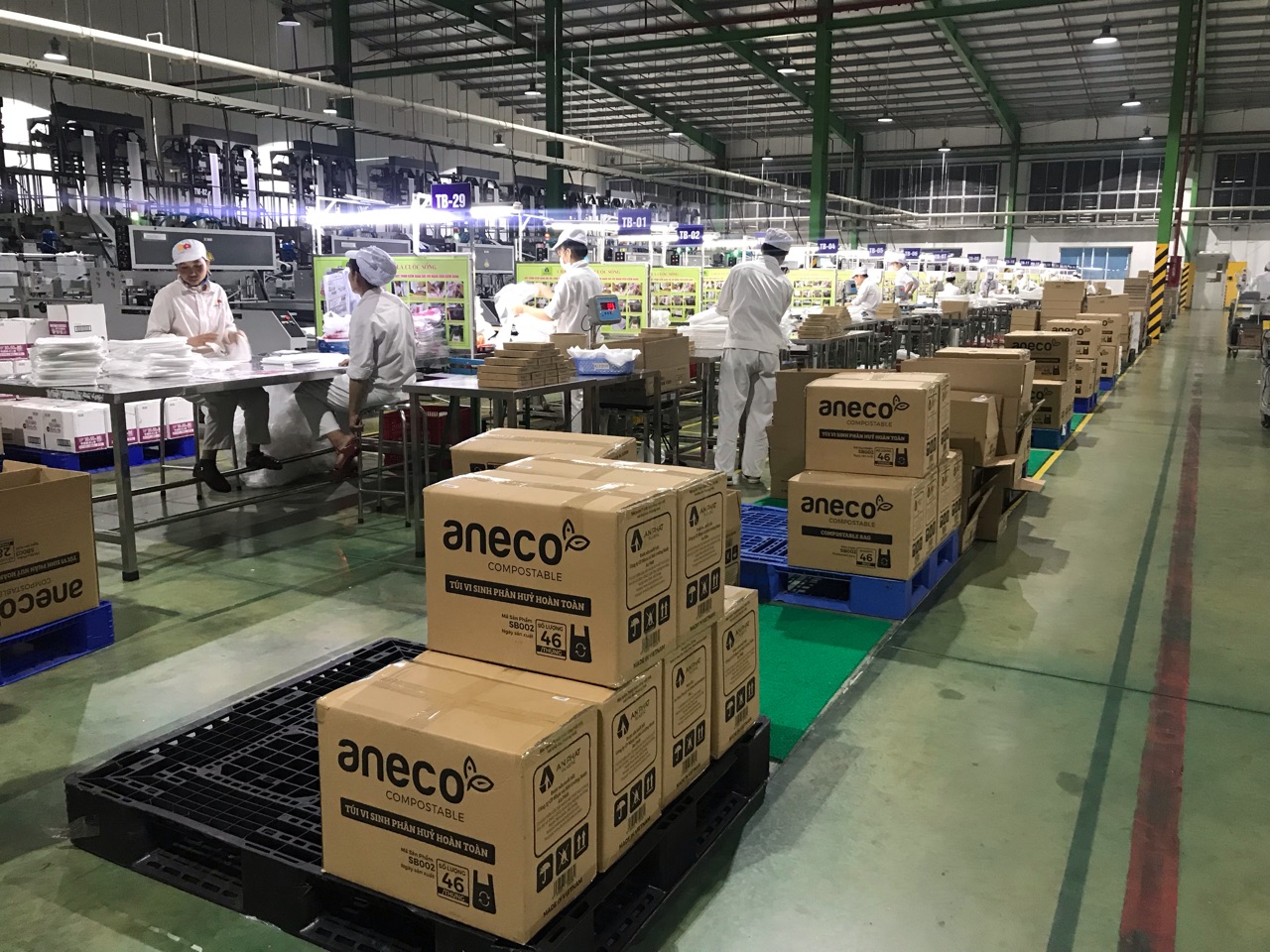 Tổng Giám đốc Nhựa An Phát Xanh: “Đây là thời cơ để AAA tiến sâu vào thị trường Mỹ” | Vietstock