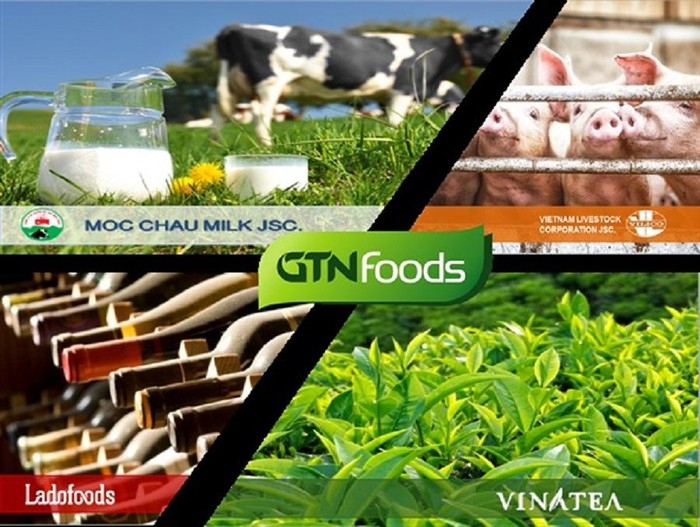 Invest Tây Đại Dương đã giảm sở hữu tại GTN xuống còn 14% | Vietstock