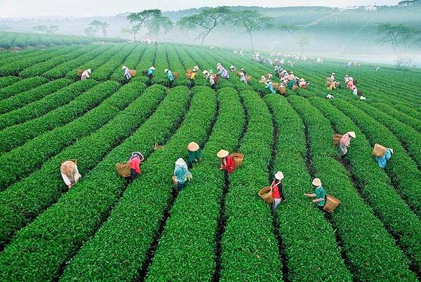 BHG nâng kế hoạch lãi ròng 2019 lên gấp hơn 2 lần