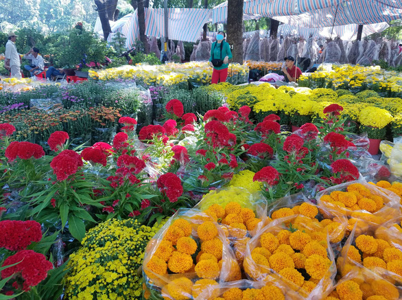 Sợ ngậm hàng, nhiều nhà vườn bắt đầu giảm giá hoa - Ảnh 10.